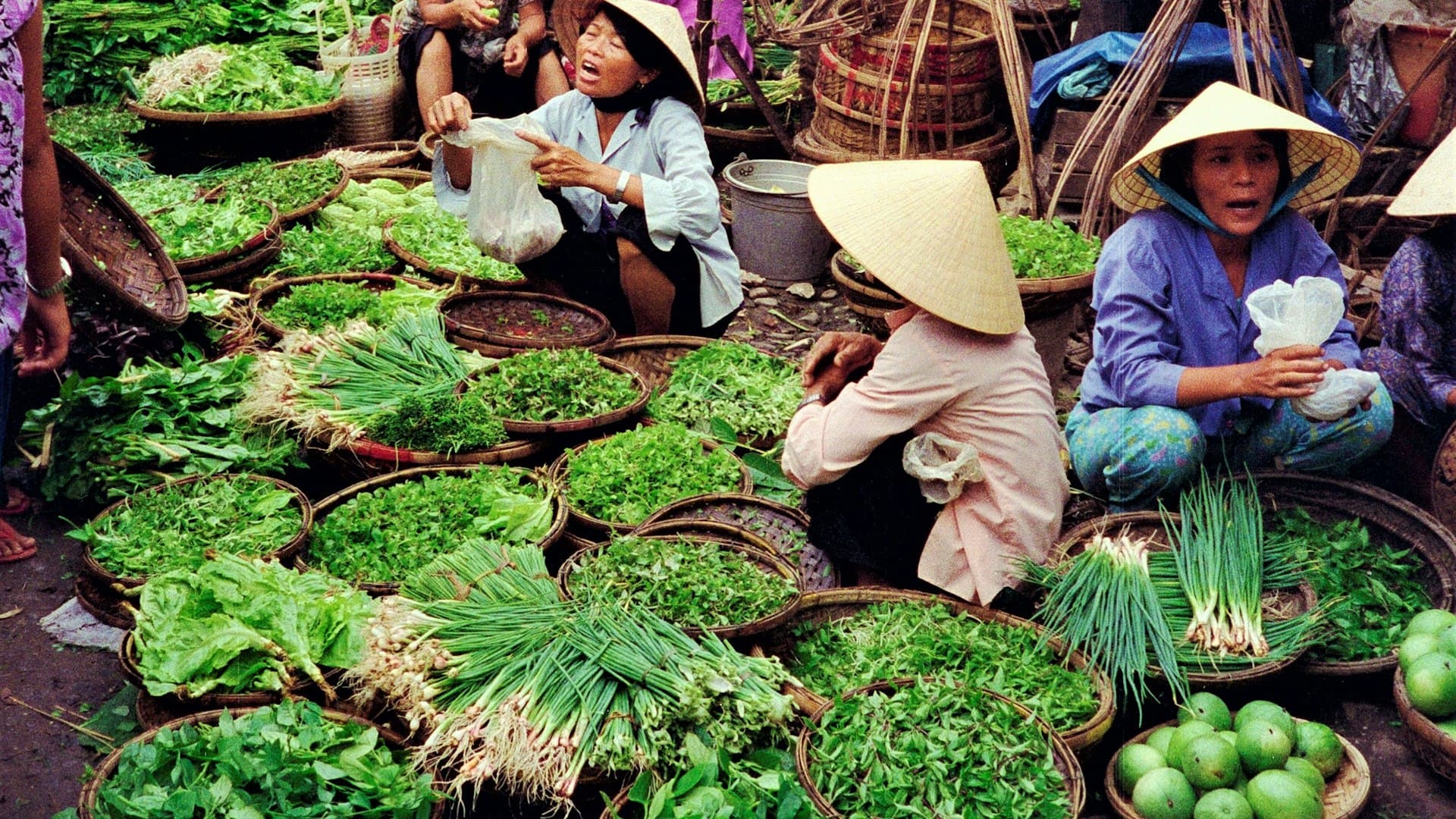 Vietnam